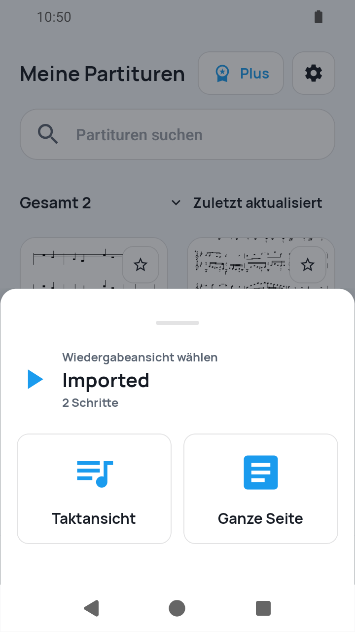 Auswahl Taktansicht oder Ganze Seite für das neu importierte Preset mit 2 Schritten in SheetCue 1.2.5