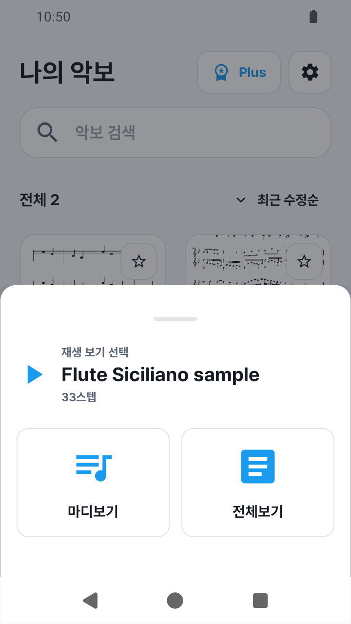 SheetCue 1.2.5의 마디보기·전체보기 선택 화면