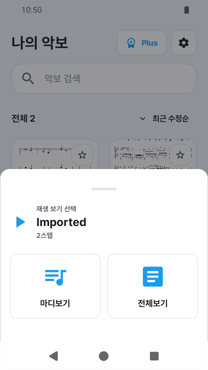 SheetCue 1.2.5의 재생 2스텝인 새 가져오기 프리셋의 마디보기·전체보기 선택 화면